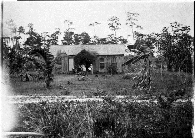 Wooden home surrounded by foliage