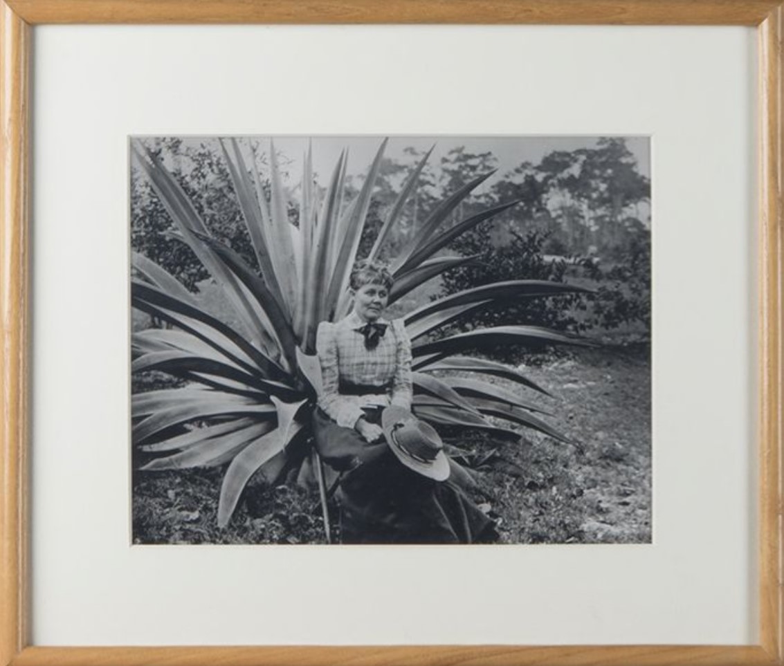 Women sitting in front of agave plant